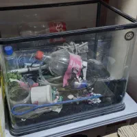 آکواریوم شیشه خم