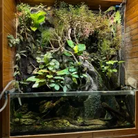 هدیه ماندگار تراریوم.پالاداریوم.گل و گیاه طبیعی