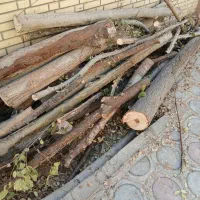 خرید چوب|خدمات باغبانی و درختکاری|نجفآباد, گلدشت|دیوار