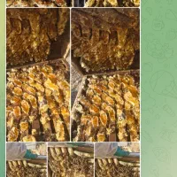 عسل طبیعی|خوردنی و آشامیدنی|بندرعباس, |دیوار