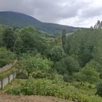کلاردشت-طبرسو1600مترزمین-چسبیده-بافت-واقعی-جنگلی