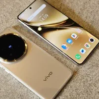 vivo x200 pro