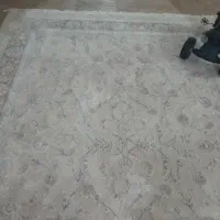 فرش۱۲۰۰شانه زیرقیمت گذاشتم