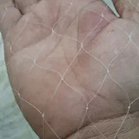 سلیه یا تور ماهیگیری پرتابی|ماهیگیری|اهواز, کوی سعدی|دیوار