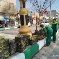 متخصص هرس درختان میوه و درختان خیابان|خدمات باغبانی و درختکاری|اسلامشهر, صادقیه|دیوار