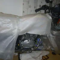 رهرو خشک آلبالویی