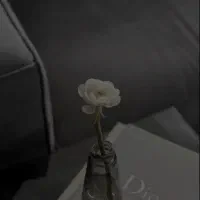 فقط یه مشاوره کنکور نیستم، همراه رویایِ توام