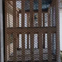 قفس مرغ|لوازم جانبی حیوانات|اهواز, کوی آزادی|دیوار