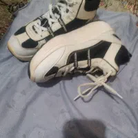 کفش زنانه|کیف، کفش، کمربند|سراب, |دیوار