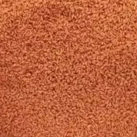 بذر گندم رقم کلکتور