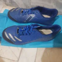 کفش ورزشی چمن