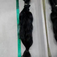 مو4۱