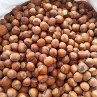 فندق