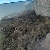 کود گوسفند رایگان