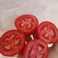گوجه همدان مخصوص رب|خوردنی و آشامیدنی|تهران, خاوران|دیوار