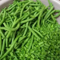 غذای پرسنلی شرکت