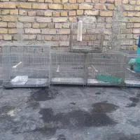 قفس سهره