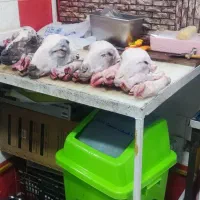 کله پاچه چربی جگر|خوردنی و آشامیدنی|بجنورد, |دیوار