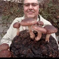 داوطلبانه درمورد تصاویر اگهی راهنمایی میکنم|فعالیت داوطلبانه|اراک, |دیوار