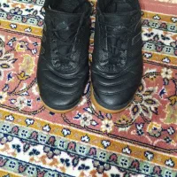 کفش سالن|کیف، کفش، کمربند|شاهین دژ, |دیوار