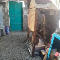 فروش فوری قفس تمیز و بزرگ‌ با وسایل کامل داخلش|لوازم جانبی حیوانات|چابهار, |دیوار