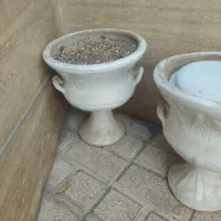 فروش گلدون|گل و گیاه طبیعی|ری, دیلمان|دیوار