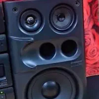 تک‌ باند پایونیر گلدار