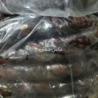 خرما درجه یک برحی و سعمران ملاثانی