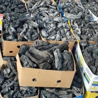 زغال کبابی|عمدهفروشی|بجنورد, |دیوار