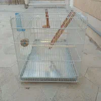 قفس بزرگ فلزی نو با وسایل|لوازم جانبی حیوانات|لار, |دیوار