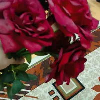 گل و گلدان فروشی