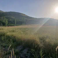 فروش-اقساطی-زمین-شهری-تراکم-دار-لاهیجان