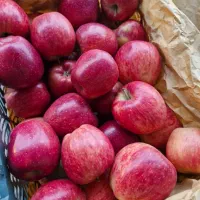سورتینگ میوه و بسته بندی