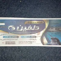 2 عدد بلیط استخر دلفین