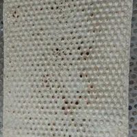 کارگر خمیر گیر برای  نانوایی جهت اموزش