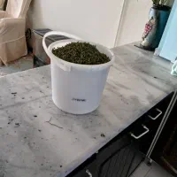 نعنا اهوازی خانگی خیلی تمز حدود ۱کیلو۹۰۰۰۰۰تومان