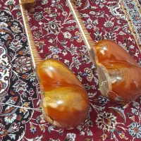 فروش تار سه مهر ویژه رضا کلهر