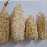 لیف گیاهی لوفا|لوازم حمام|آذرشهر, |دیوار