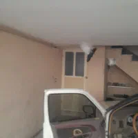 سینه ای|پرنده|شیراز, گویم|دیوار