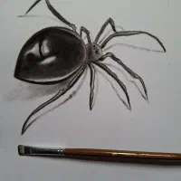 نقاشی/طراحی چهره/سیاه قلم|تابلو، نقاشی، عکس|شیراز, امام حسین|دیوار