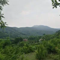 اجاره سوییت،دوهزار متر باغ و ویلا150متری|اجارهٔ کوتاه‌مدت آپارتمان و سوئیت|سنگر, |دیوار