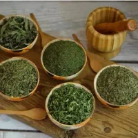 پیازداغ سبزی خشک لوبیاسبز رب قرمه اب قلم گوجه خشک