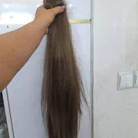 کلاه گیس