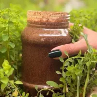 معجون درمانی