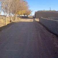 زمین برای باغ طلا|فروش زمین و ملک کلنگی|گناباد, |دیوار