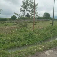 زمین بایر لاهیجان سیاهکل|فروش زمین و ملک کلنگی|سیاهکل, |دیوار