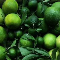 نارنج سبز شمال