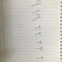 سیمکارت ۹۱۹ رند 2244201-919