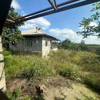 فروش ویژه زمین با بنای کلنگی  در زیباکنار