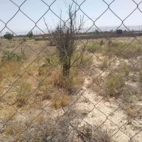 ۱۰۰۰مترزمین باغی محصور|فروش زمین و ملک کلنگی|گلبهار, نوبهار|دیوار